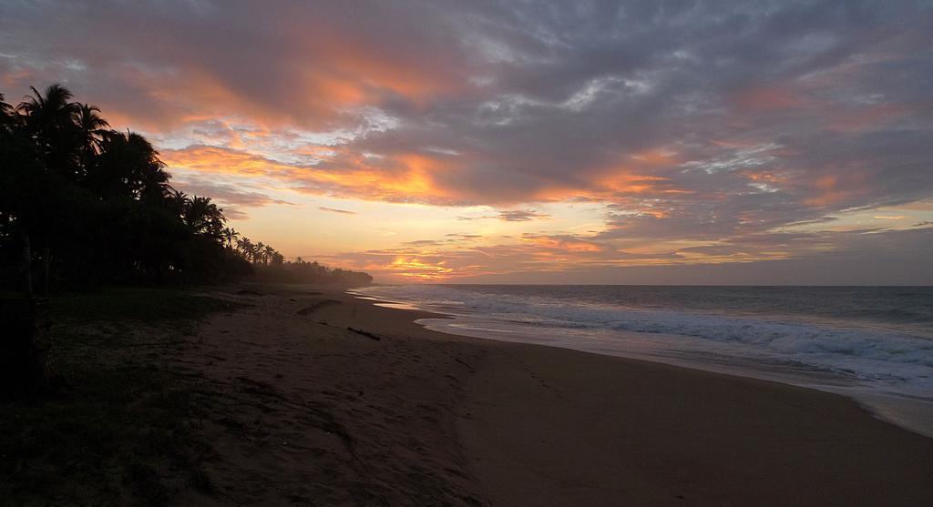 Hotel Seven Turtles Tangalle Exteriér fotografie