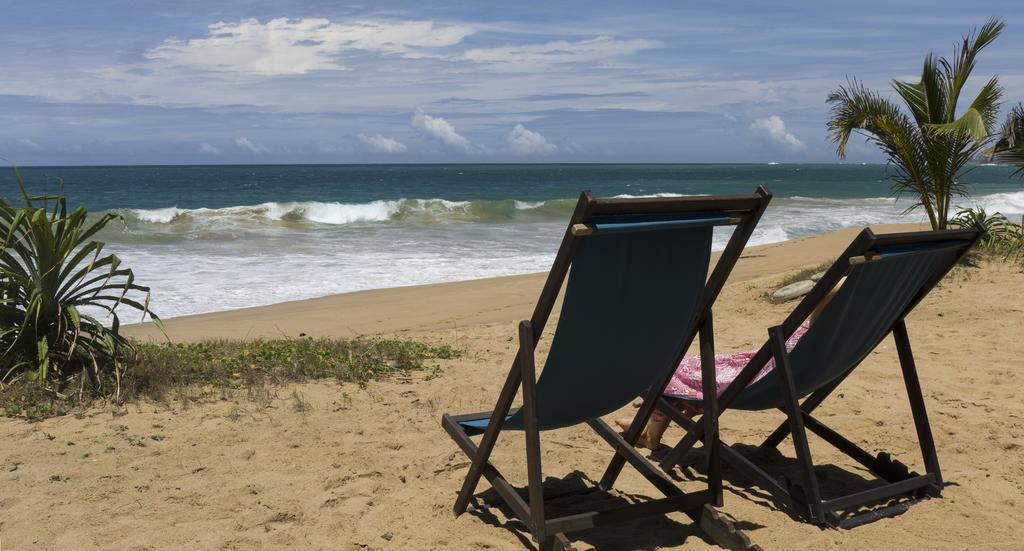 Hotel Seven Turtles Tangalle Exteriér fotografie
