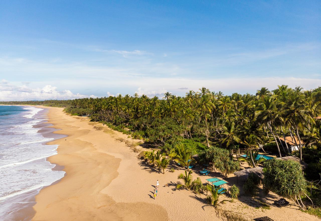 Hotel Seven Turtles Tangalle Exteriér fotografie